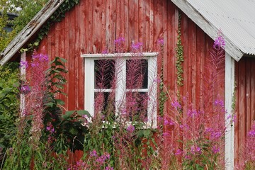 Wei&szlig;e Fenster an einer roten Holzh&uuml;tte