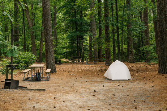 Campsite with a tent
