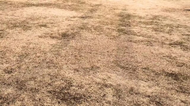 Deux personnes marchant dans le parc avec leurs ombres refl&eacute;t&eacute;es sur le sol