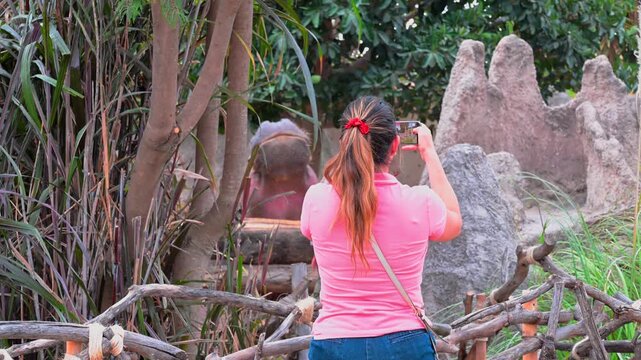 Young woman with blonde hair taking a photo with her smartphone at a zoo