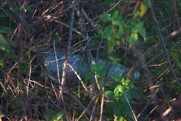 Obraz premium Environmental pollution: Plastic waste hidden among wild plants and branches.