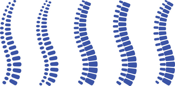 Five Blue Spinal Column on White Background