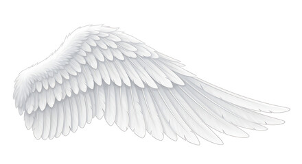 Obraz premium White Angel Wing Feather bird