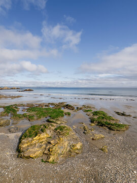 Rocky shore with algae and blue sky over calm sea