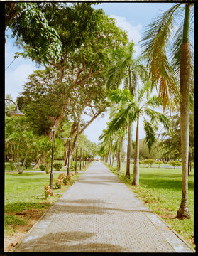 Cinnamon Gardens Colombo, Shot on medium format film camera