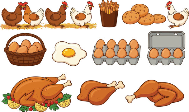 Complete chicken and egg food collection featuring live poultry, fresh eggs in cartons, fried eggs, roasted whole chicken, and drumsticks in a flat cartoon style.