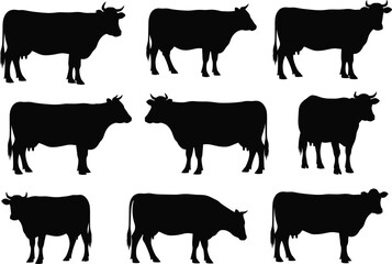 Fototapeta premium Cow silhouette collection, black cattle vector set, dairy livestock illustration, farm animal graphic, agriculture design elements, rural animal shapes, domestic cattle artwork