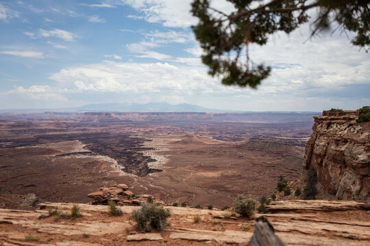 The desert landscape of Canyonlands National Park