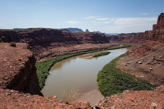 The desert landscape of Canyonlands National Park
