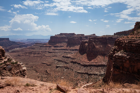 The desert landscape of Canyonlands National Park