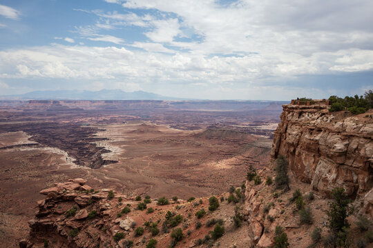 The desert landscape of Canyonlands National Park