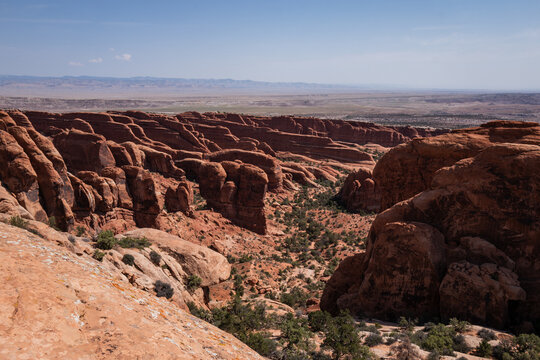 The desert landscape of Canyonlands National Park