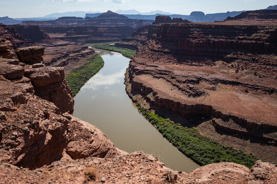 The desert landscape of Canyonlands National Park