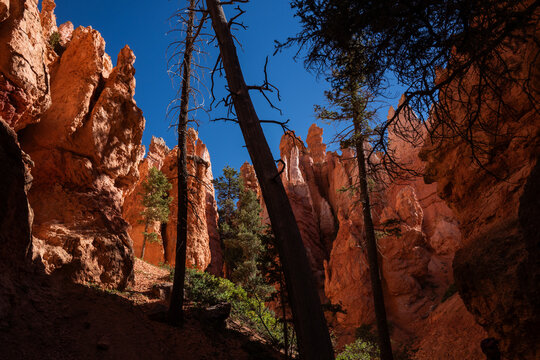 Hiking in Bryce Canyon National Park