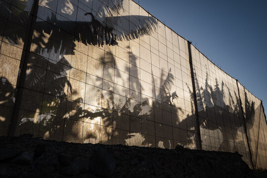 Banana Tree Shadows on Greenhouse Screen in Tenerife