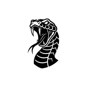 aggressive black silhouette of king cobra snake head with open mouth and fangs for sports mascot or gaming logo vector