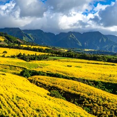 Vibrant yellow fields stretch toward distant mountains under a cloudy sky. Warmth meets cool blue in this scenic view
