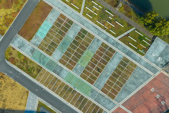 Top-Down View of Empty Tennis Courts 