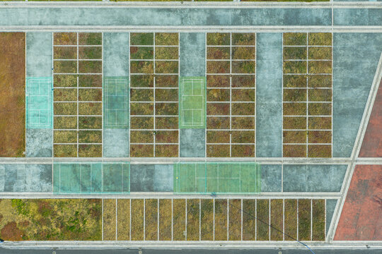 Top-Down View of Empty Tennis Courts 