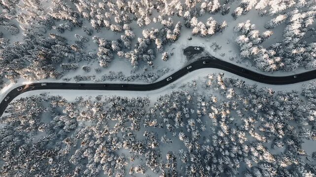 Top down drone descent over snaking road with cars navigating bends through snowy forest