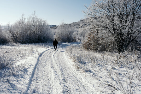 Man walking on a snowy path in winter in forest clearing