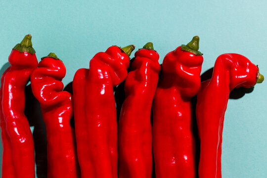 Sweet pointed red peppers on a blue background