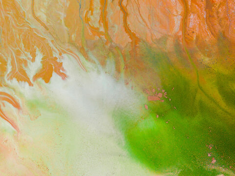 Green and Orange veins