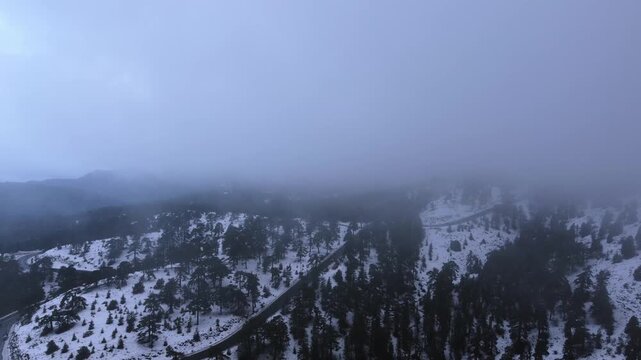 4K cinematic aerial drone shot of cars driving on a winding mountain road through a snowy pine forest in Troodos, Cyprus. Misty winter landscape with thick fog and clouds over the mountainside.