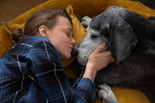 Woman showing affection to senior dog, embracing companionship