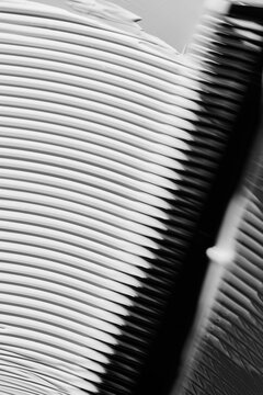 skincare product texture