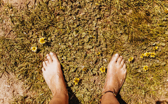 Barefoot Woman Standing on Grass with Daisies