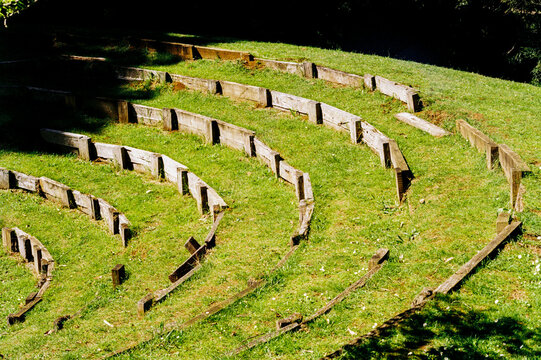 Film photo of a serene Wooden Amphitheater Surrounded by Nature