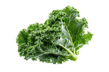 Obraz premium Fresh Green Curly Kale Leafy Vegetable Isolated on Black Background, Isolated On Transparent Background, Png Cut Out