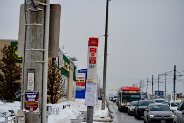 Naklejka premium Toronto public transport TTC 34 Eglinton East Bus on Eglinton Avenue. Toronto, Ontario, Canada, February 6, 2026: Toronto public transport TTC 34 Eglinton East Bus makes its way along Eglinton Avenue 