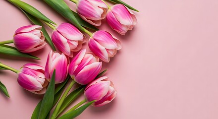 Obraz premium Pink tulips with green leaves on pink background pink flowers flower arrangement