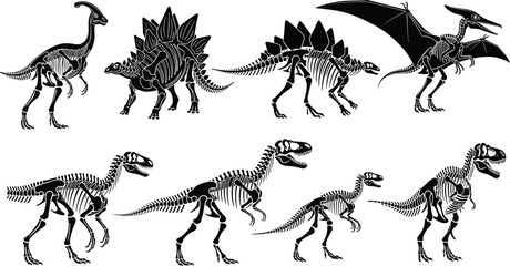 Detailed black silhouette vector illustration set of eight dinosaur skeletons including Tyrannosaurus Rex, Stegosaurus, and flying Pterodactyl © Bappi
