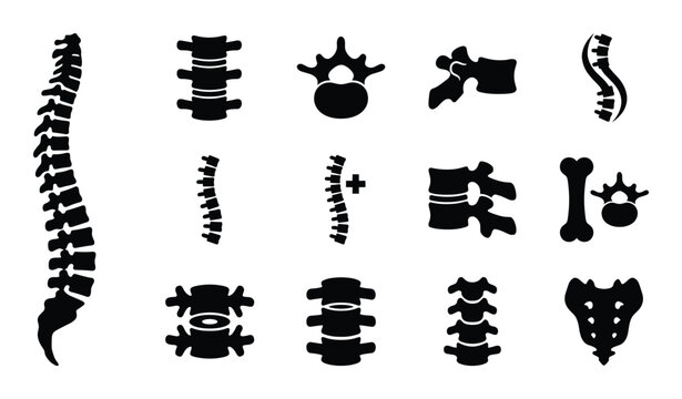 Human spine anatomy icon set featuring various vertebrae and backbone silhouettes for medical design