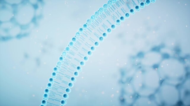 Abstract microscopic view of a cell membrane with lipid bilayer and floating particles on a clean blue background, seamlessly looping in a dynamic 3D animation