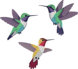 Obraz premium Three Colorful Pixel Art Hummingbirds Flying in Motion White Background