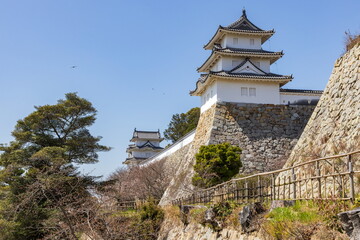 春の明石公園・明石城跡　兵庫県明石市にて