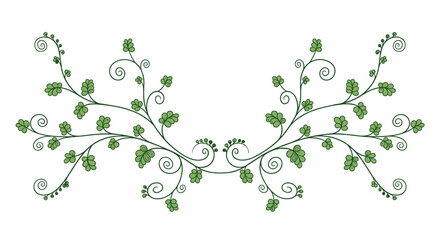 Symmetrical Green Vine Border with Swirling Tendrils and Small Rounded Leaves on a Plain White Background for Elegant Nature Inspired Invitations and Frames.