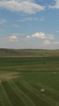 Round Hay Bales on Rolling Prairie Field under Blue Sky