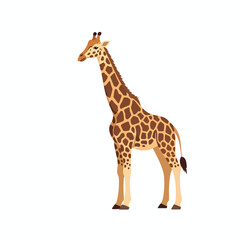 Obraz premium Tall Spotted Mammal Standing on White Background