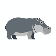 Grey Hippopotamus Illustration