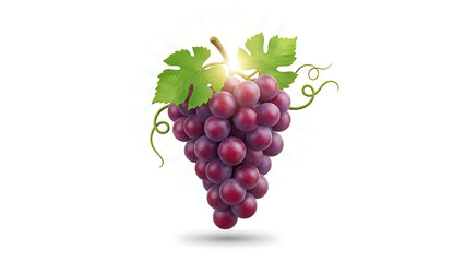 Fresh grapes hanging with sunlight and green leaves