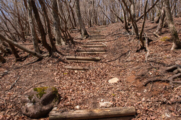 犬ヶ岳登山「一ノ岳付近の登山道」