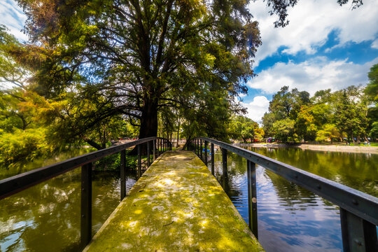 Chapultepec Lake on a cloudy day in Mexico City 