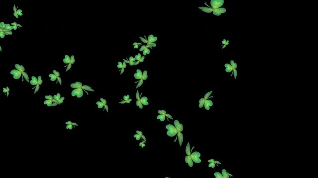 Falling  shamrock leaf on transparent background, alpha channel
