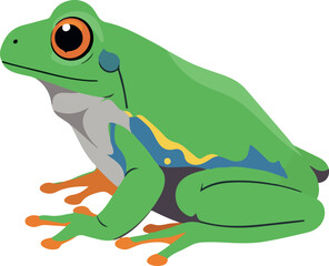 Fototapeta premium Green Tree Frog Isolated On White Background Flat Design Animal