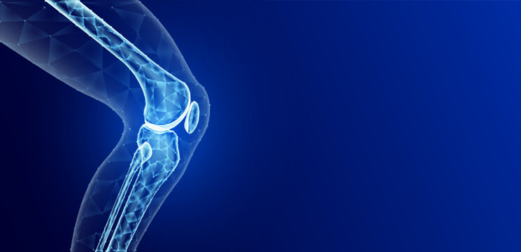 Leg bone side translucent low poly on blue background with empty space for text. Bone cartilage care bone knee joint. Used food ads media. Vector.